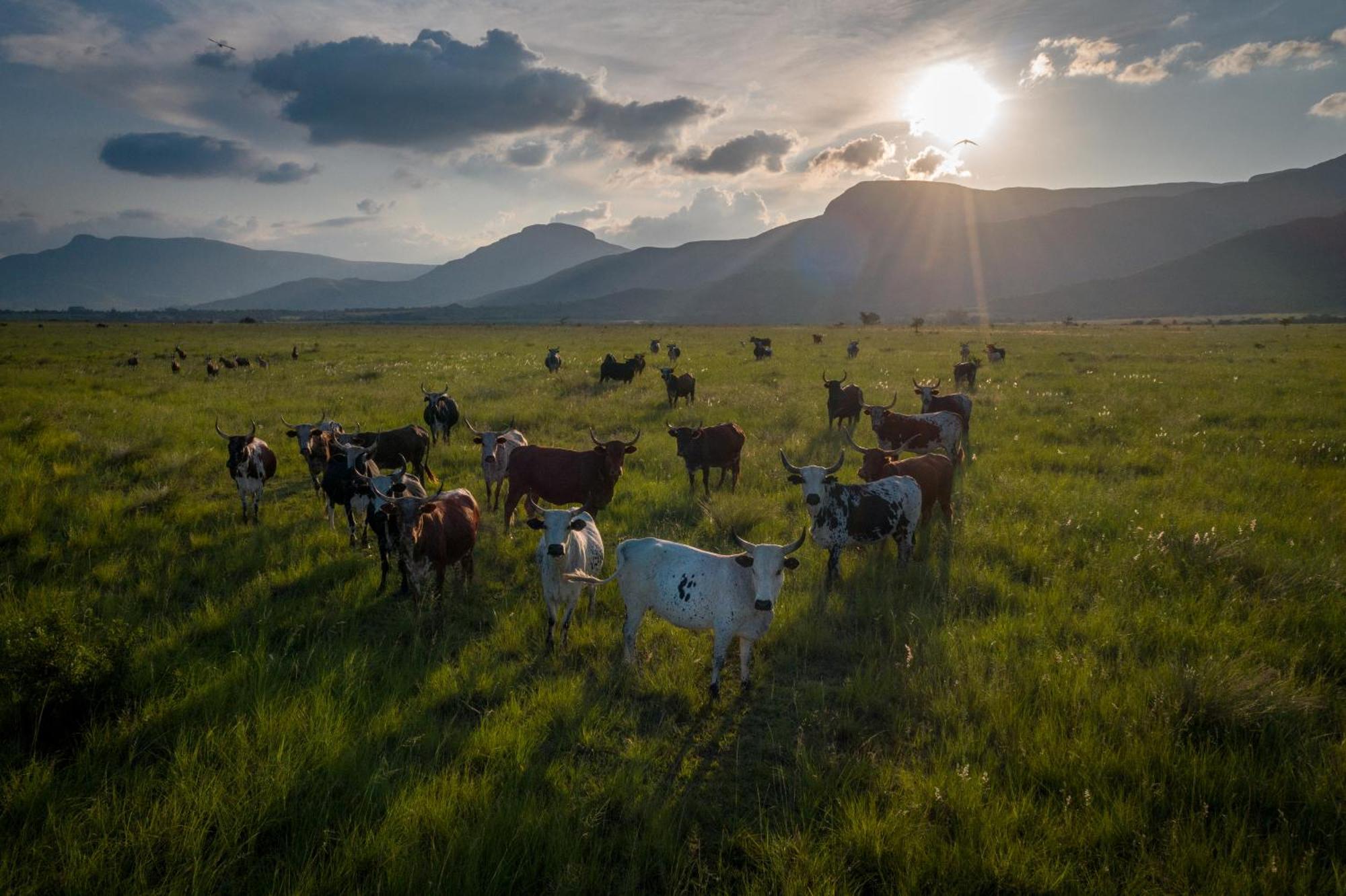 The Cowshed Lydenburg Exterior foto